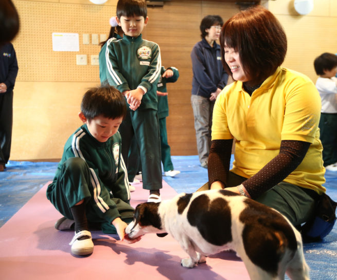 動物介在教育 AAE | ラポルトインターナショナルスクール/La Porte International School