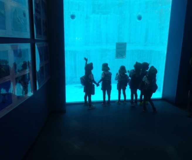 遠足・校外学習 | ラポルトインターナショナルスクール/La Porte International School