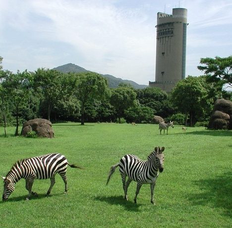 2019年度遠足 豊橋総合動植物公園（のんほいパーク）
